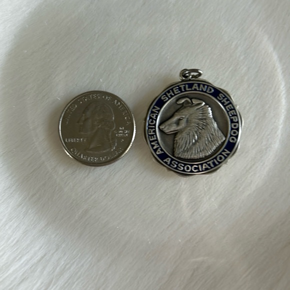 Sterling Charm from American Shetland Sheepdog Association - Picture 4 of 4